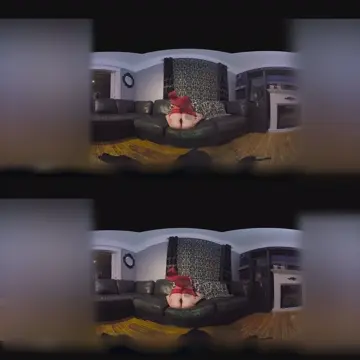 Poster: The Mistress T Collection: Belle de Jour