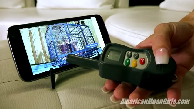 Poster: The Mean Girls - Goddess Platinum, Princess Carmela - Remote Control Testicle Torture (1080 HD)