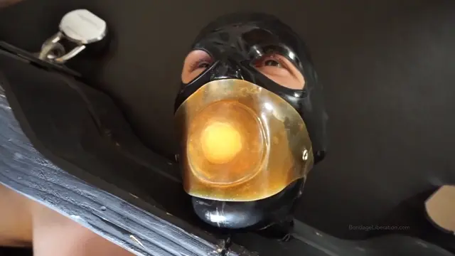 Poster: A Laughing Stock