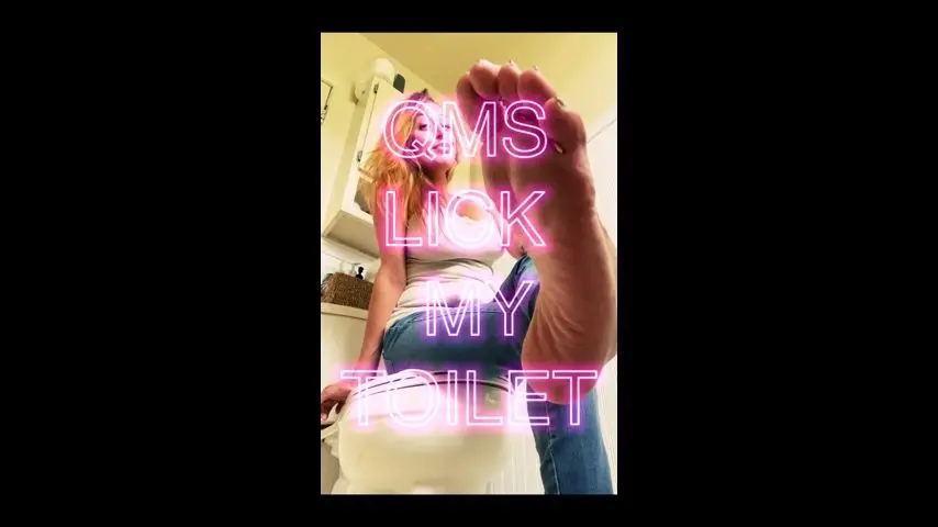 Poster: Lick My Toilet