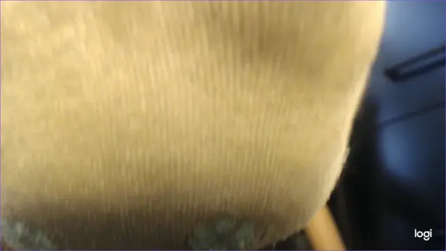 Poster: PrincessCica — Struggle Under My Filthy Flower Socks